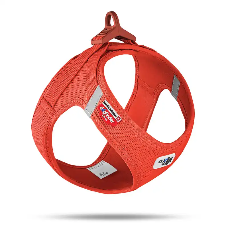 curli Clasp AirMesh Geschirr XL orange Markenware